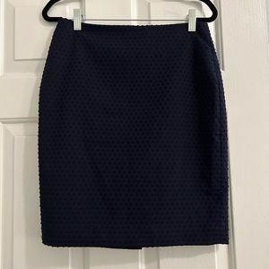 Women’s Navy Pencil Skirt